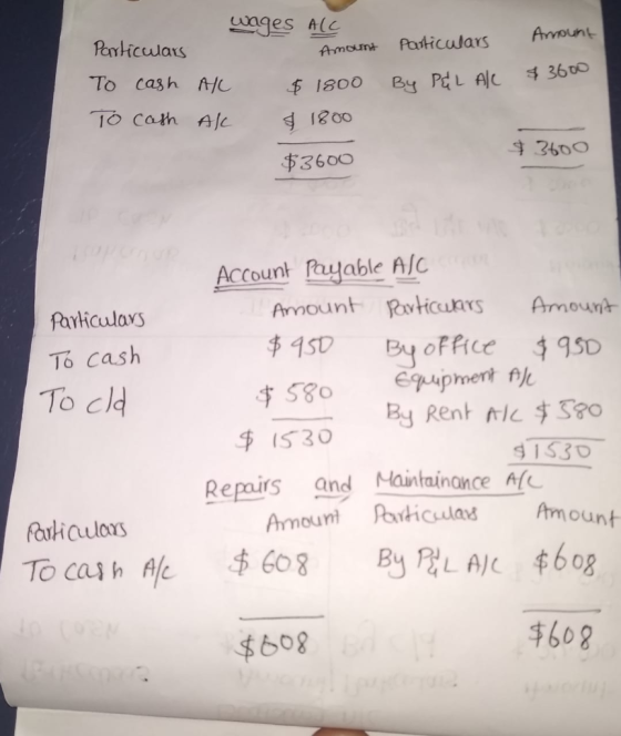 wages AIC Amount Amount Particulars Particulars To cash TO Cash By P&L ALC $3600 All Al $ 1800 $ 1800 $3600 $3600 Particulars