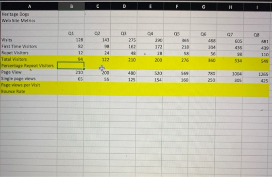 Heritage Dogs Web Site Metrics 02 Q4 07 QB 143 275 605 05 365 218 58 276 436 439 110 549 lg 122 210 200 360 534 Visits First