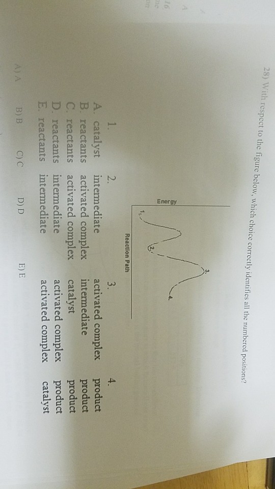 28) With respect to the figure below, which choice correctly identifies all the numbered posit ions? Reaction Path 2. activated complex product product product activated complex product activated complex catalyst A. catalvst intermediate B. reactants activated complex intermediate reactants activated complex catalyst D. reactants intermediate E. reactants intermediate E) E A B) B C)C D) D