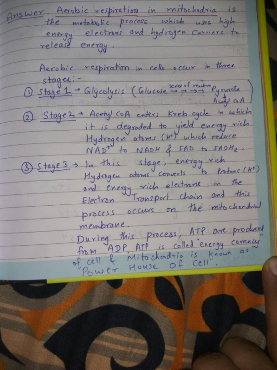 Ans lve lee .-Aer obic respiration in n itocktdria-is the metaolie process which usee en ergy elechrant ond hydro release ene