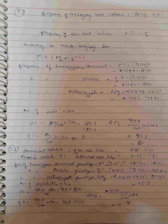7 frequency of mahogany wat colour 0.49 ap flequery often wat wlour 0.51 29 according to hardy weinbey law 102 + 2 pq & 9221
