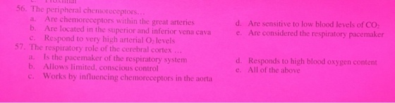 56. The peripheral chemoreceptors d. Are sensitive to low blood levels of CO e. Are considered the respiratory pacemaker a. Are chemoreceptors within the great arteries Are located in the superior and inferior vena cava Respond to very high arterial O2 levels b. c. 57. The respiratory role of the cerebral cortex... Is the pacemaker of the respiratory system Allows limited, conscious control Responds to high blood oxygen content All of the above d. a. b. e. c. Works by influencing chemoreceptors in the aorta
