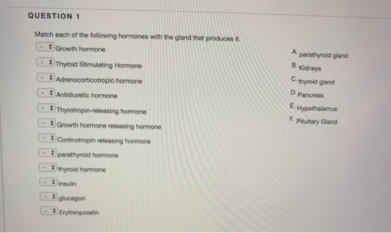 QUESTION 1 Match each of the following hormones with the gland that produces it. - Growth hormone - Thyroid Stimulating Hormo