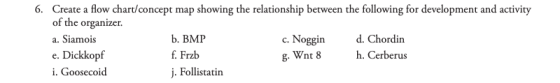 6. Create a flow chart/concept map showing the relationship between the following for development and activity of the organiz