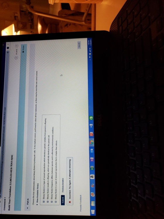 View Available Hint(s) B Binary fission results in offspring, which are genetically identical to the parent cell G Binary fission frequency differs between species and is affected by environmental conditions Provide Feedback 743 PM