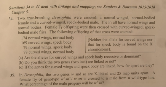 Questions 34 to 41 deal with linkage and mapping: see Sanders & Bowman 2015/2018 - Chapter 5. 34. Two true-breeding Drosophil