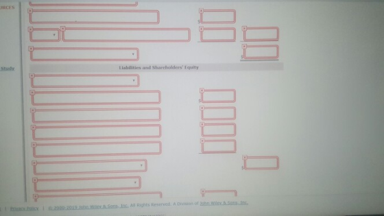 RCES Study Liabilities and Shareholders Equity