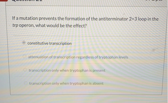 If a mutation prevents the formation of the antiterminator 2+3 loop in the trp operon, what would be the effect? constitutive