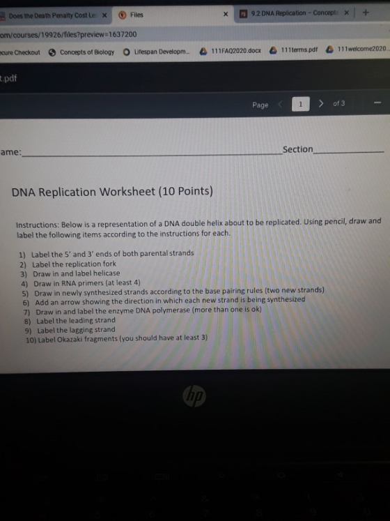 Does the Death Penalty Costle X Files x 9.2 DNA Replication - Concept x + om/courses/19926/files?preview=1637200 cure Checkou