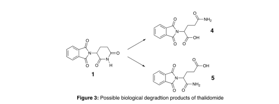 -NH2 OH 0 SA H OH 5 -NH2 Figure 3: Possible biological degradtion products of thalidomide
