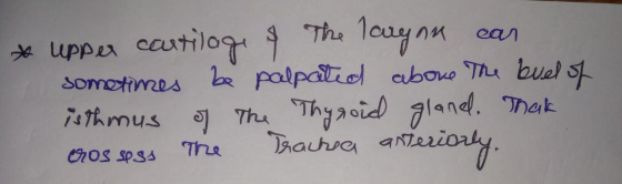 The 1oay nn castilog ean upper be palpaliol cuboue Thu buel somotimes 7land Thauhra ateriD Thak 74thmus Thu Thyacid The Onos