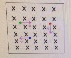 which is the magnitude of the force on the blue lo