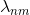 \lambda_{nm}