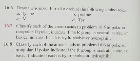 Draw the ionized form for each of the following am