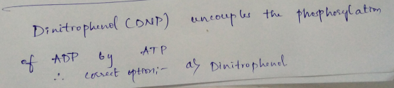 uncouples the phosphorylation Dinitrophend CDNP) of ADP by ATP d. correct option- als Dinitrophenol