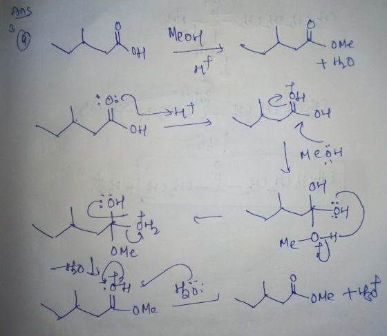 AnS Meor 04 OMe O4 Он Мебч OMe + OMe O Me