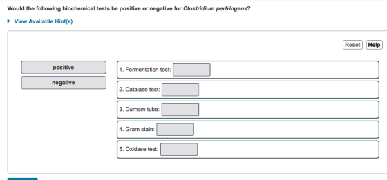 Would the following biochemical tests be positive or negative for Clostridium perfringens? View Available Hint(s) Reset Help positive 1. Fermentation test: negative 2. Catalase test: 3. Durham tube 4. Gram stain: 5. Oxidase test: