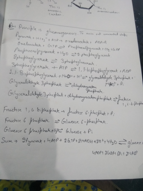 /4 1-1 614 f pineple is cexatk Anp hak t se 1y Glucose &-phasphat sC Gilucose (戶hasphektly ー6.heose t pi Sumフ 9.parant thane
