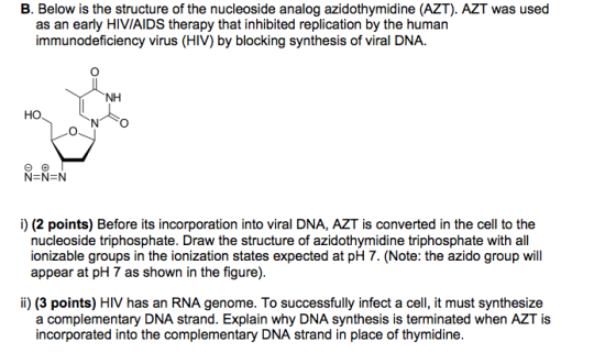 B. Below is the structure of the nucleoside analog azidothymidine (AZT). AZT was used as an early HIVIAIDS therapy that inhibited replication by the human immunodeficiency virus (HIV) by blocking synthesis of viral DNA. NH HO i) (2 points) Before its incorporation into viral DNA, AZT is converted in the cell to the nucleoside triphosphate. Draw the structure of azidothymidine triphosphate with all ionizable groups in the ionization states expected at pH 7. (Note: the azido group will appear at pH 7 as shown in the figure). li) (3 points) HIV has an RNA genome. To successfully infect a cell, it must synthesize a complementary DNA strand. Explain why DNA synthesis is terminated when AZT is incorporated into the complementary DNA strand in place of thymidine.