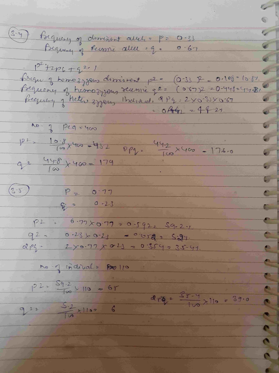 Bequency of dominant alela p = — хадму, fоч аш : , 0.33 o: 67 . 17-нр 2. 1 frequ of homozygous dominant p2e (0-3 2.0 108²10.8