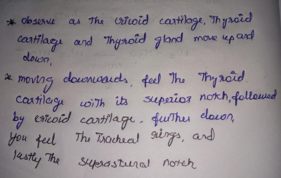 as The ioid cartiloge, Thyaoid move up ard ob seawe , castflag and Thaoid 7and olown dounaauds teel The Thyaoid Tmovtng Casti