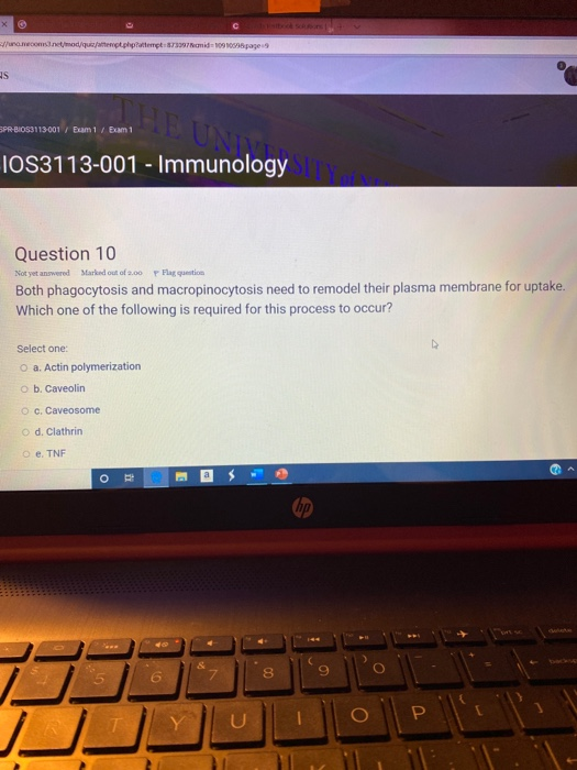 une. mecommoda tphp?attempt omid 910335 page: SPR-BI053113-001 / Exam 1 / Ecam 1 JOS3113-001 - Immunology Question 10 Not yet