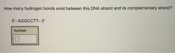 How many hydrogen bonds exist between this DNA strand and its complementary strand? 5-AGGCCTT-3 Number