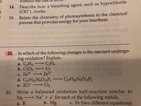 without the loss of Silver! 14. Describe how a bleaching agent, such as hypochlorite (ClO ), works. 15. Relate the chemistry