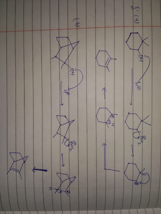 5 (4)
