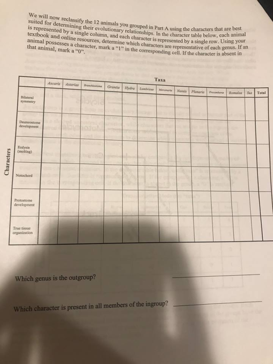 We will now reclassify the 12 animals you grouped in Part A using the characters that ar suited for determining their evolutionary relationships. In the character table below, is represented by a single column, and each character is represented by a sing le s. If an . Using your textbook and online resources, determine which characters are representative or cac animal possesses a character, mark a 1 in the corresponding cell. If the character is a that animal, mark a . bsent in Taxa Ascaris AsteriatGrantia ydra Lumbrics rcmarteNees Planariac RomaleaTotal Bilateral symmetry development Eodysis (molting) Notochord development True tissue Which genus is the outgroup? Which character is present in all members of the ingroup?