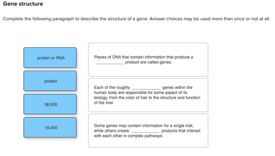 Gene structure Complete the following paragraph to describe the structure of a gene. Answer choices may be used more than onc