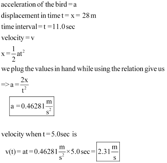 acceleration of the bird-a displacement in timet-X- 28 m time interval t 1 1 .0 sec velocity v X--at we plug the values in hand while using the relation give us a = 0.4628 1 velocity when t-5.0sec is v(t)-at-0.46281-x5.0 sec 2.3 I