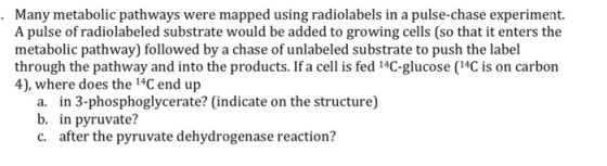 Many metabolic pathways were mapped using radiolabels in a pulse-chase experiment. A pulse of radiolabeled substrate would be