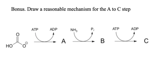 Bonus. Draw a reasonable mechanism for the A to C step ATP ADP NH, P, ATP ADP VB Ноо