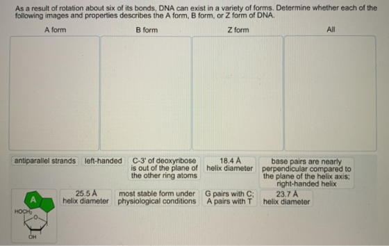 As a result of rotation about six of its bonds, DNA can exist in a variety of forms. Determine whether each of the following