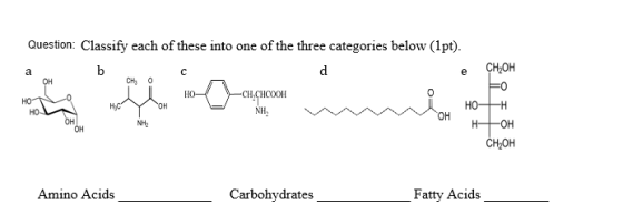 Question: Classify each of these into one of the three categories below (1pt). e CH20H HO--H OH NH2 CH20H Amino Acids Carbohydrates Fatty Acids