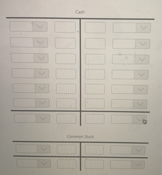 Cash Common Stock