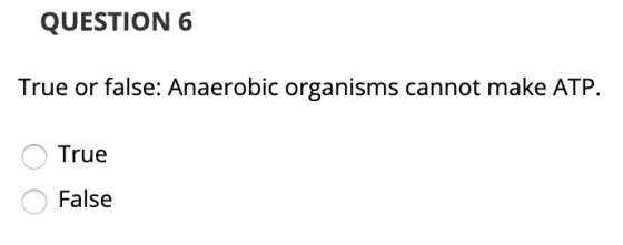 QUESTION 6 True or false: Anaerobic organisms cannot make ATP. True O False