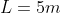 L = 5 m