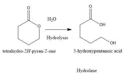 HO Hydrolysis OH 5-hydroxypentanoic acid tetrahydro-2H-pyran-2-one Hydrolase