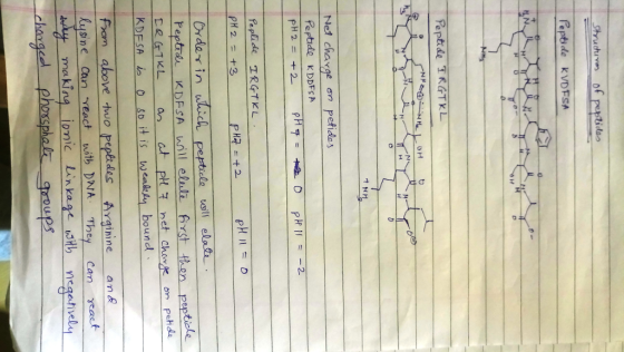 Peptide TKCTKL Peptide KDDFs A Peplide IRGTKL Orderin Peptrer KDFSA wall eltr 6rst then pepticle KDFSA i o so it is wealy bou