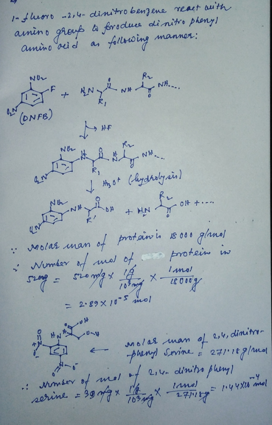 1-horo-2, 4- dimitro bengene meaet buth a forodues alinitro pheny! fatlncing aunin o manner amino aei dl an NUr NH. N* + (ON