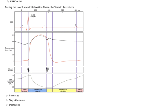 QUESTION 16 During the Isovolumetric Relaxation Phase, the Ventricular volume 200 400 600 800 ms QRS complex ECG 120 Pressure