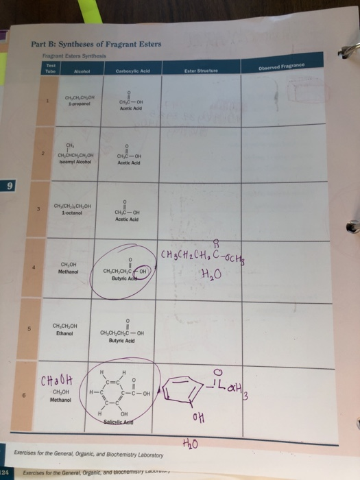 Part B: Syntheses of Fragrant Esters Fragrant Esters Synthesis Test Tube Alcohol Carboxylic Acid Ester Structure Observed Fra