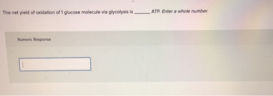 The net yield of oxidation of 1 glucose molecule via glycolysis is ATP. Enter a whole number Numeric Response