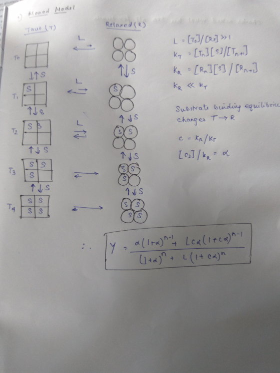 Model a) Monod Relaxed (R) Taut (T) L = [To]/[ro] » kg = [In] [s]/[T+] KR = [RA] [5] / [en] ka « ps Substrate binding equilib