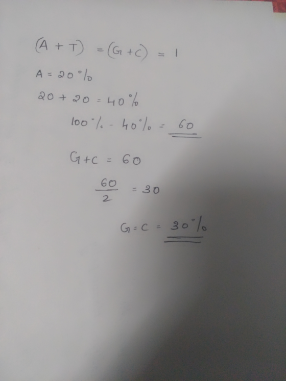 (A + T = (G+C) = 1 A = 20% 20+20= 40% 100% -40% -60 G+C = 60 60 - 30 G =C = 30%