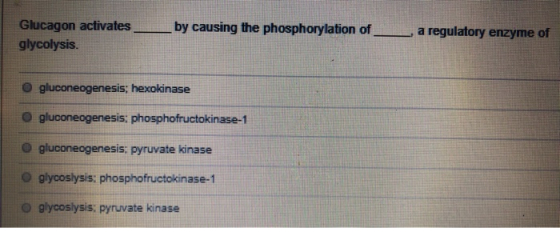 by causing the phosphorylation of Glucagon activates glycolysis. a regulatory enzyme of gluconeogenesis; hexokinase O glucone