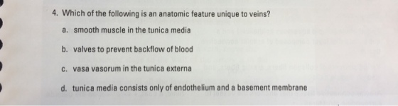 4. Which of the following is an anatomic feature unique to veins? a. smooth muscle in the tunica media b. valves to prevent backflow of blood c. vasa vasorum in the tunica externa d. tunica media consists only of endothelium and a basement membrane