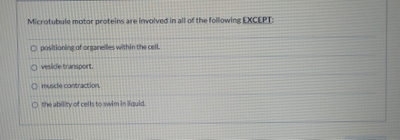 Microtubule motor proteins are involved in all of the following EXCEPT: O positioning of organelles within the cell. vesicle